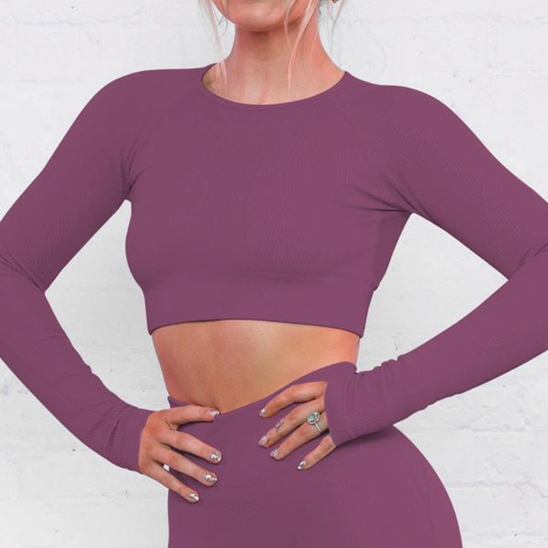 

yoga outfit women's ribbed seamless long sleeve crop nylon fitness running shirts sports workout gym clothing sportswear
