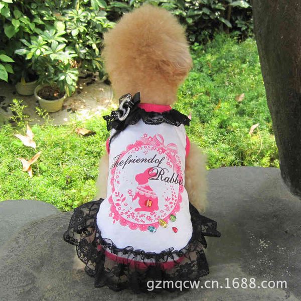 

price skirt special sale dog teddy pet clothing summer