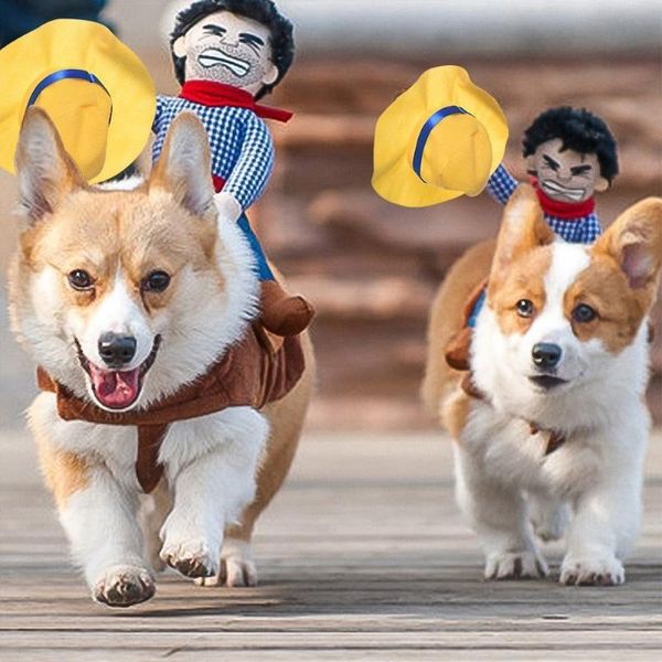Köpek Giyim Yenilik Komik Cadılar Bayramı Kostümleri Pet Giysileri Kovboy Giyinme Ceket Palto Küçük Orta Büyük Köpekler Chihuahua Yorkshire