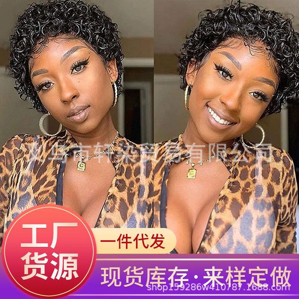 

wig small black short hair explosion curl style, Black;brown