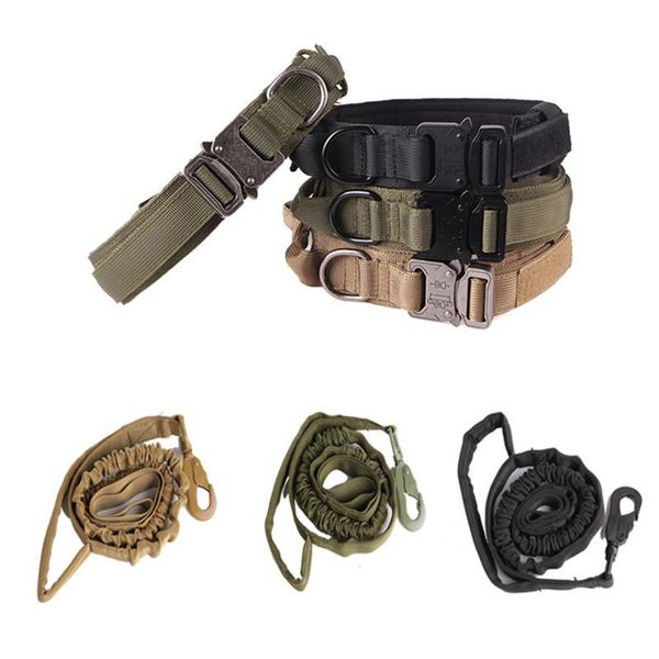 

dog collar leash nylon double for pet collars & leashes