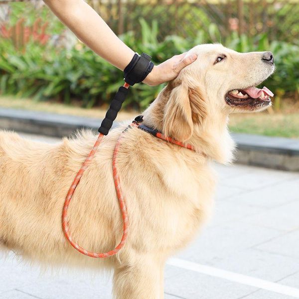 

dog collars & leashes nylon reflective harness leash adjustable collar training lead rope with buckle pet c42