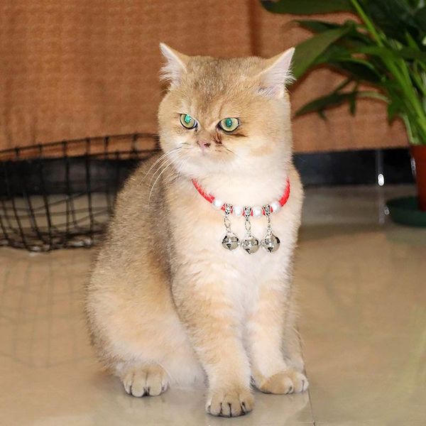 

cat collars & leads bell collar pet jewelry necklace adjustable dog pu woven puppy big products accessories