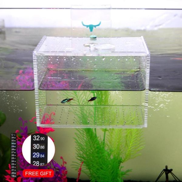 

aquariums senzeal aquarium acrylic transparent isolation box fish reproduction incubator with sucker for baby hatchery rooms