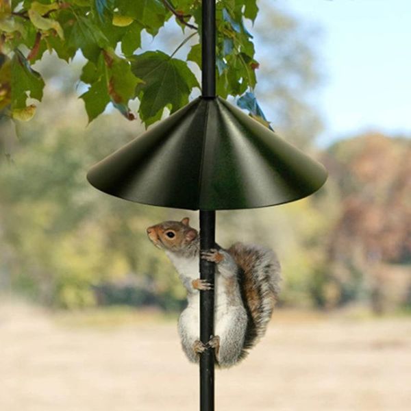 

universal squirrel baffle guard protect raccoon proof bird feeder protection outdoor yard garden decor ornaments anti-rust shade