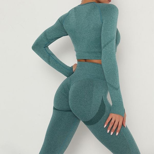 

women sportswear seamless yoga sets fitness clothing long sleeve crop push up gym shirts workout leggings running pants, Black;white