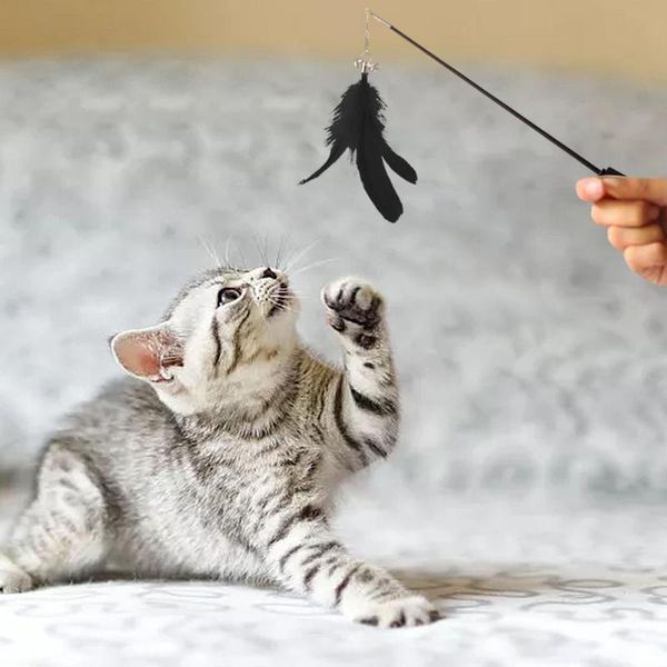 

cat toys feather toy pet kitten interactive wand with bells funny supplies