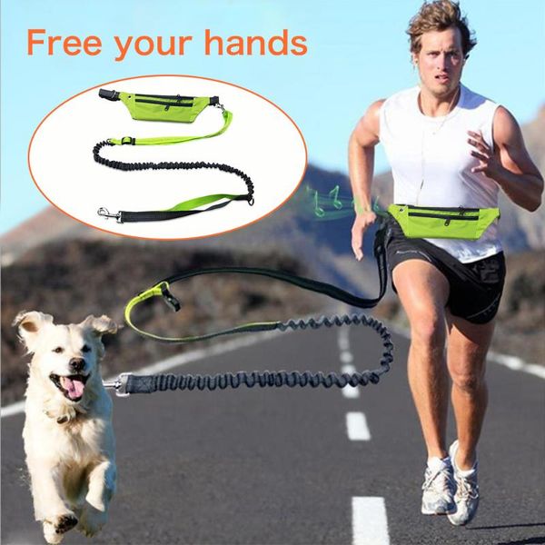 

easy adjustable handsdog pet waist belt waterproof bag sports running multifunctional traction leash collars & leashes