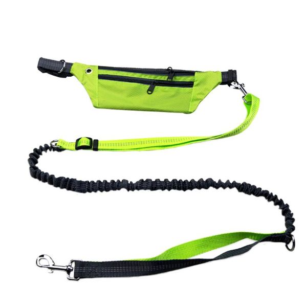 

dog leads harnesses waist waterproof pockets running jogging leashes chain for large dogs puppy traction rope pet supplies collars &