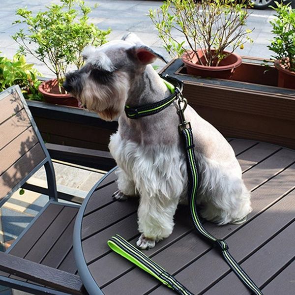 

dog collars & leashes reflective leash nylon pet rope for small medium dogs soft walking chihuahua pitbull