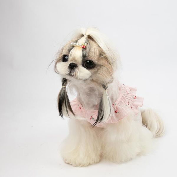 

dog apparel spring and summer pet clothes chiffon cherry shirt skirt cat supplies