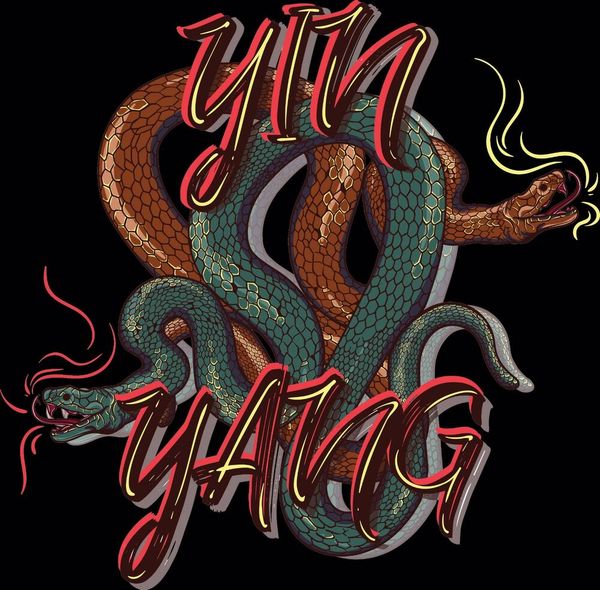 

black or white tee yin & yang snakes, White;black