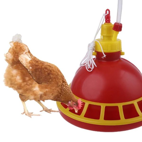 

other bird supplies round chicken drinking fountain device hanging cup waterer bowl poultry drinker