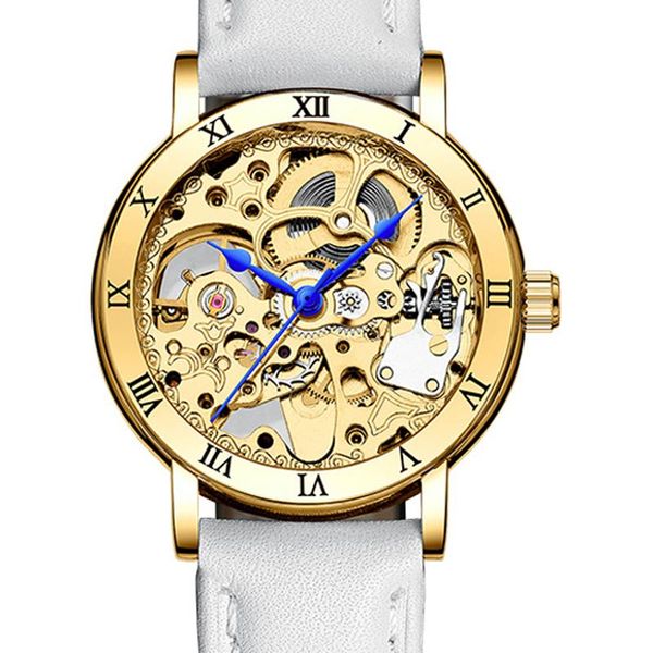 

wristwatches fashion gold women's mechanical watch roman bezel skeleton hollow automatic self-wind ladies dress leather wrist watches, Slivery;brown