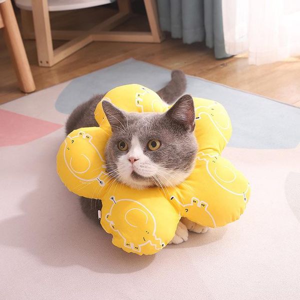 

cat collars & leads elizabethan collar sunflower shape, dog neck cone, adjustable anti-bite/licking wound, for pet take bath e-colla