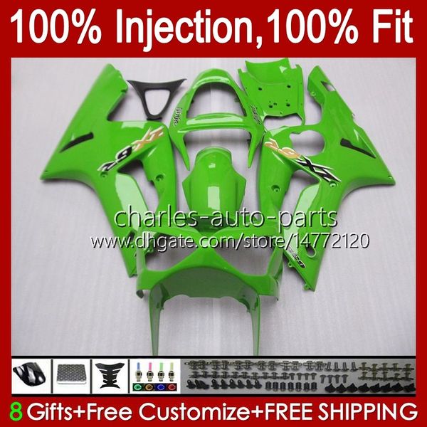 Kawasaki Ninja ZX-636 için Enjeksiyon Kalıp Seti ZX600 ZX 6R 6 R 600 CC 03-04 Vücut 8NO.3 ZX 636 600CC ZX6R 03 04 ZX600C ZX636 ZX-6R 2003 2004 Fairing OEM Karoseri Fabrika Yeşil