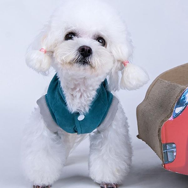 

dog apparel pet clothes winter warm jacket coat puppy for dogs outfit down cotton padded ropa para perros