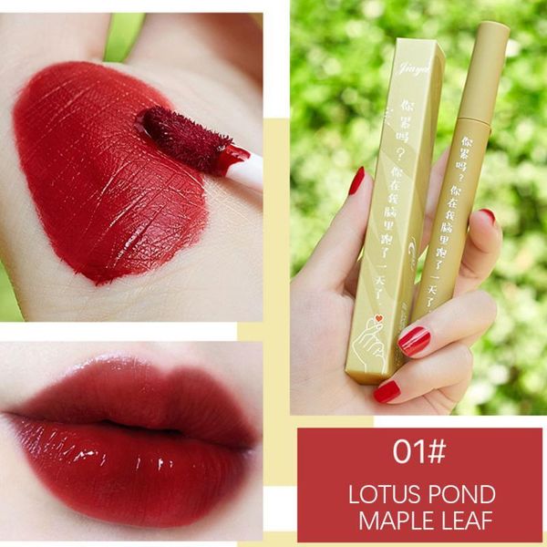 

lip gloss 5 colors lips makeup matte lipstick lasting moisturizing red glaze waterproof cartoon cosmetic tslm2