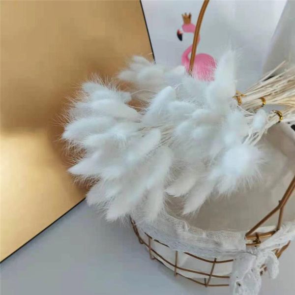 

decorative flowers & wreaths 50pcs/lot white pampa tail grass natural dried flower boho home wedding decor accessories party decorati