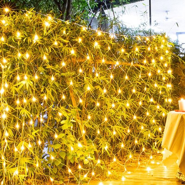 

strings 220v led string fairy curtain garlands strip home party lights outdoor for wedding/party/curtain/garden decoration