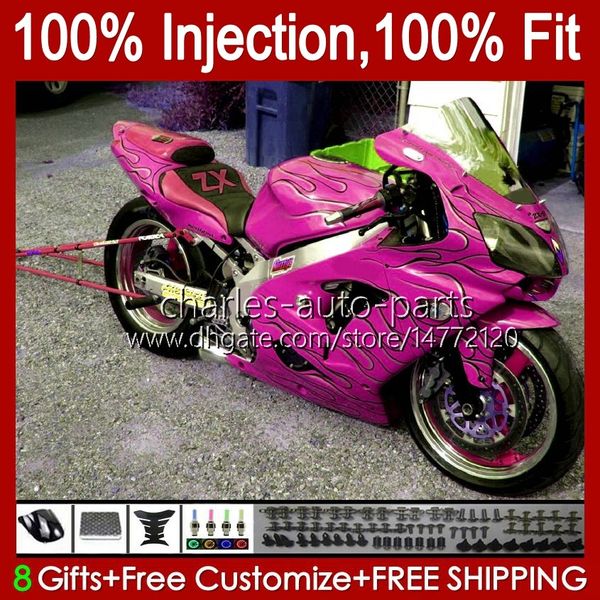 Einspritz-OEM-Körper für KAWASAKI NINJA ZX 1200 CC 12 R ZX1200C ZX12R 00 01 Karosserie 2Nr