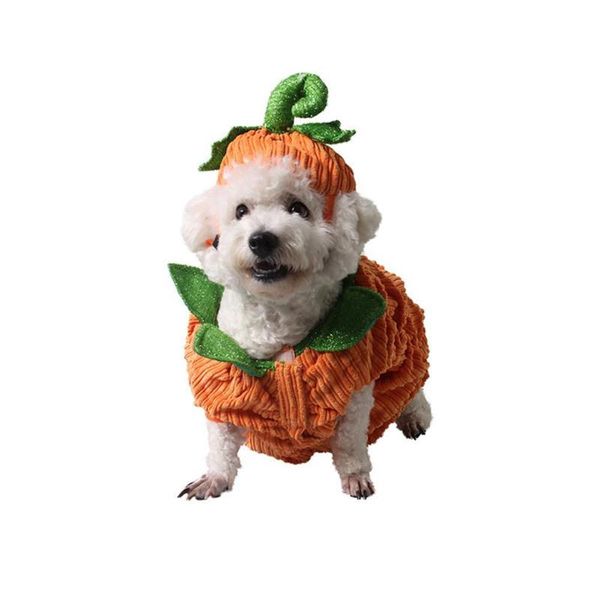 

dog apparel warm halloween cosplay pumpkin suits set for pet cats wear