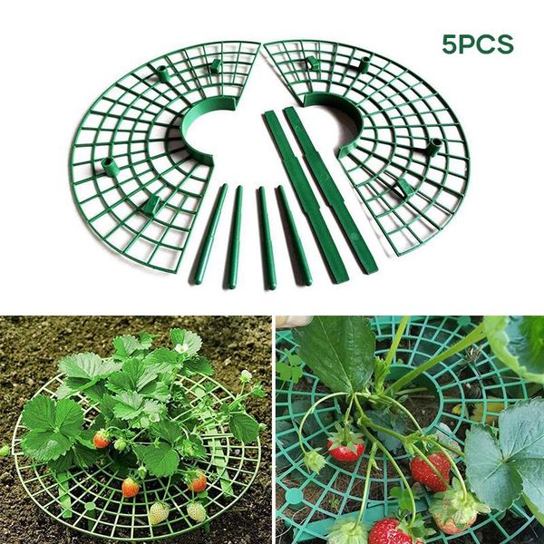 

other garden supplies 5pcs strawberry support plate stake extensible mesh round plant rack reusable plastic cage holder 30cm