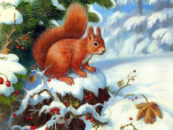 

diamond painting hedgehog squirrel 5d kits for adults animals full embroidery fantasy accessories decor