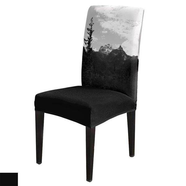 

chair covers forest mountains sky dining home decor living room seat for chairs