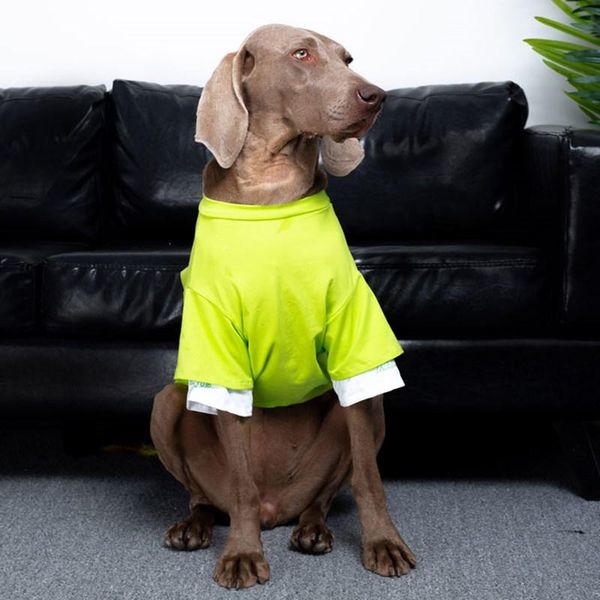 

dog apparel large clothes spring and summer thin golden retriever labrador doberman t-shirt pure cotton