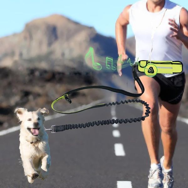 

hands-pet dog leash waist pocket reflective elastic band running nylon suit collar harness supplies zd collars & leashes