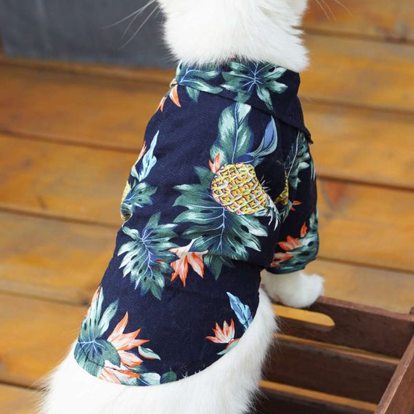 

cat clothing summer thin shirt kitten fashion dog raincoat teddy small pet