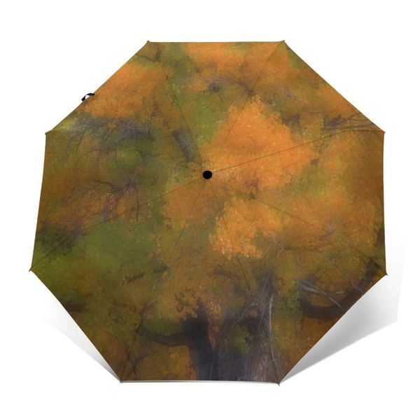 

umbrellas pumpkin umbrella windshield auto design lightweight outdoor