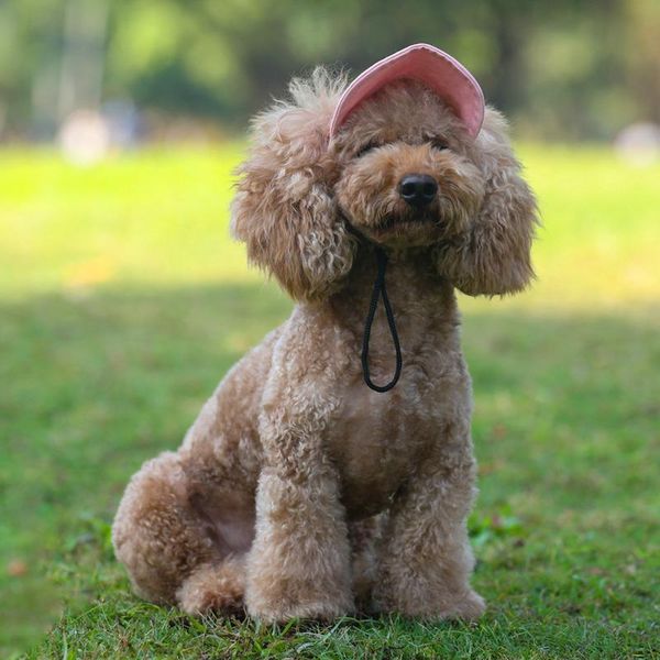 

dog apparel 2021 sun hat for dogs cute pet casual cotton baseball cap chihuahua yorkshire products plus size s/xl