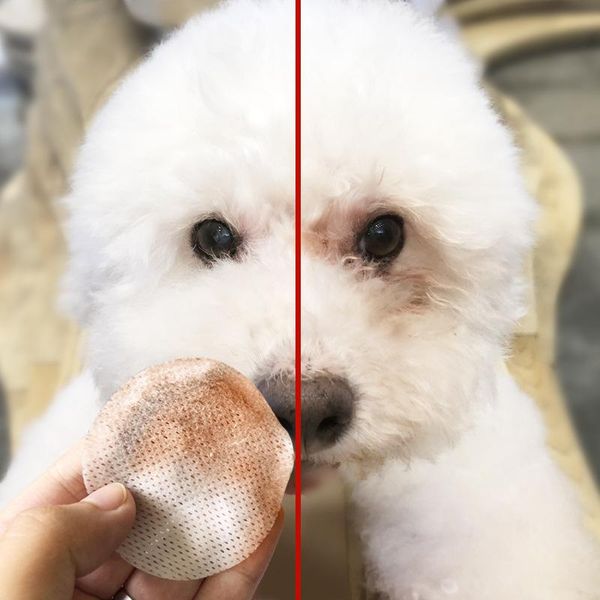 

100pc dog cleaning paper towels pet eye wet wipes cat tear stain remover gentle non-intivating grooming supplies apparel