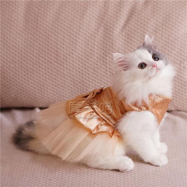 

cat costumes lovely fashion cosplay year cats christmas outfit products for pets ropa para gato navidad pet clothes jj60jsby