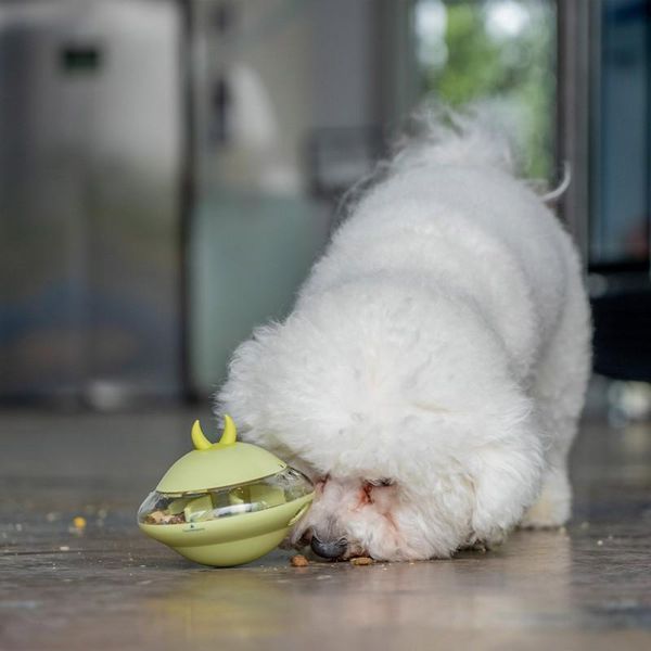 

cat toys pet toy interactive tumbler ball automatic slow feeder vibration leak training