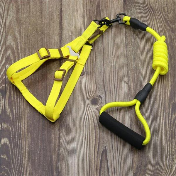 

style combination dog leash nylon pet for & cat running or training collar and harness 01 collars leashes