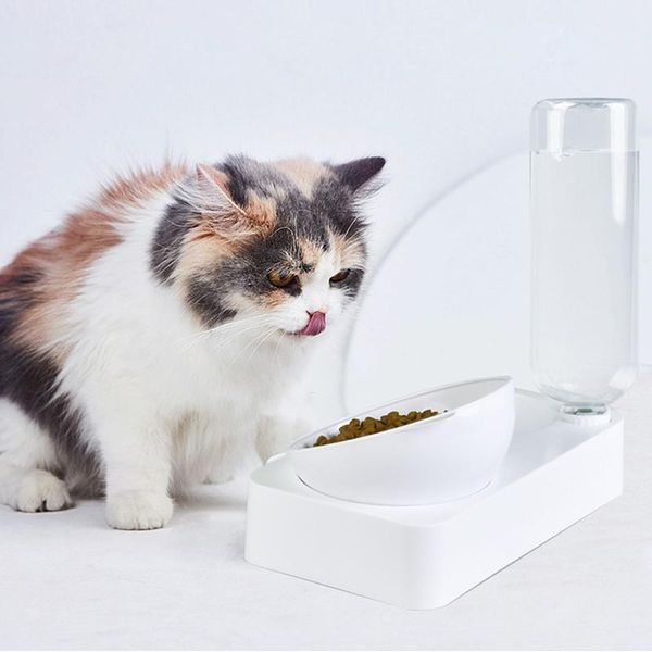 

dog bowls & feeders cat bowl pet automatic drinking water bottle dogs cats feeder products food container will not cause mouth-hair get wet