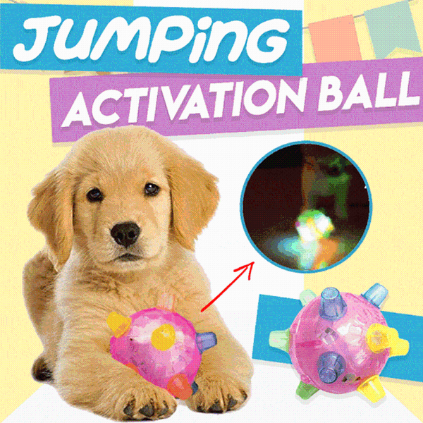 

dog toys & chews pet ball toy jumping activation for dogs