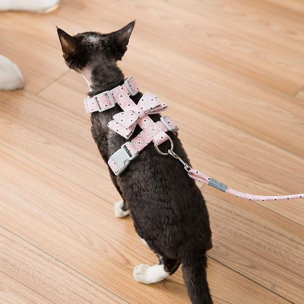 

cat collars & leads sixpenny 2021 leashes adjustable for walking