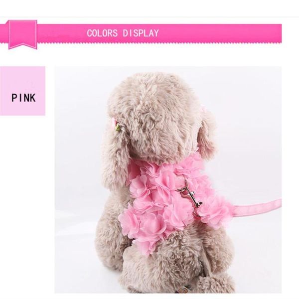 

dog collars & leashes pet leash cat available