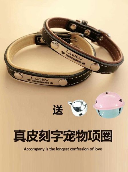 

lettering cow leather anti losing teddy brand dog cat collar id card pet bell u0sd
