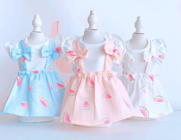 

the dog clothes spring and summer watermelon skirt pet yorkshire teddy vip dog clothing fold