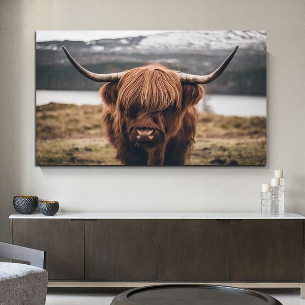 

black and white highland cow cattle wall canvas art nordic painting poster and print scandinavian wall picture for living room