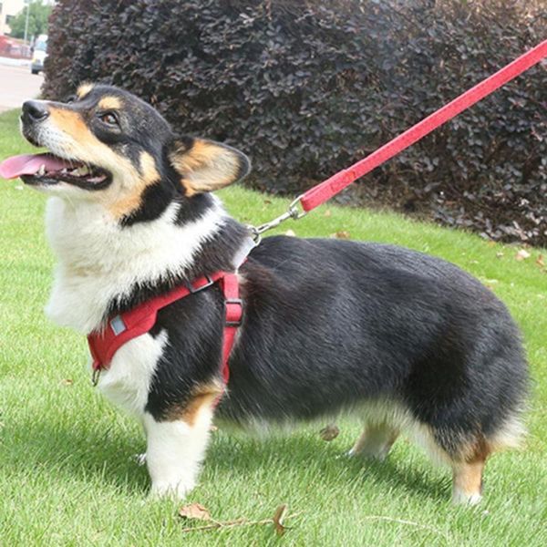 

dog safety vest harness adjustable reflective seat belt pet rope connector strap collars & leashes
