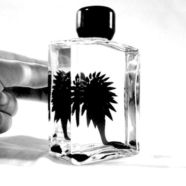 

party masks ferrofluid magnetic fluid liquid display funny anti stress relief toys