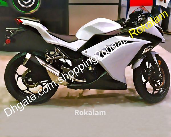 

zx300 zx300r for kawasaki cowling ninja ex300 ex300r ex 300 300r abs white black fairing kits 2013 2014 2015 2016 (injection molding)