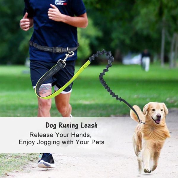 

hand dog leashes elastic night reflective safe pet leash with belt collars &