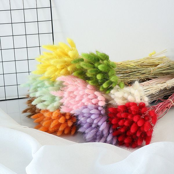 

30 stems colorful dried flower bunny tail natural plants floral rabbit grass bouquet home decoration accessories pgraphy props flores